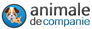Animale de Companie Animale de Companie
